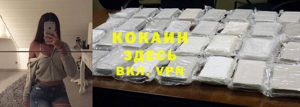 твердый Мегион