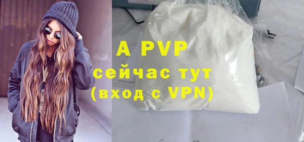 стаф Медвежьегорск