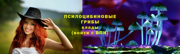 твердый Мегион