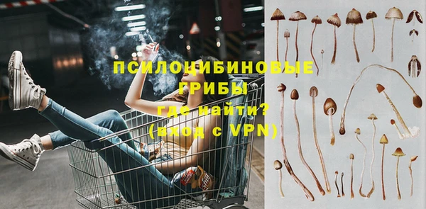 твердый Мегион