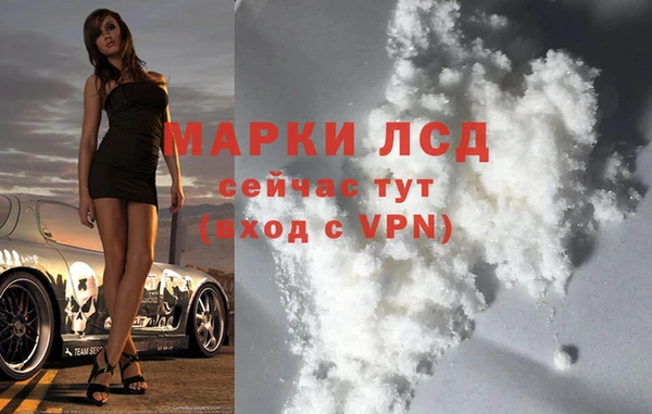 стаф Медвежьегорск