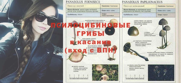 СК Магас