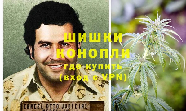 твердый Мегион
