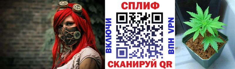 Купить закладки  Междуреченск  Марихуана сатива 